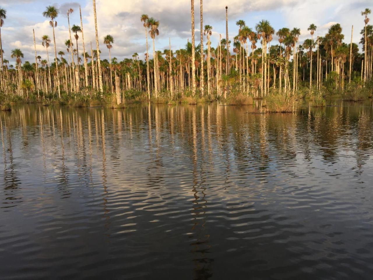 Hacienda Herrera Tambopata Puerto Maldonado Eksteriør bilde